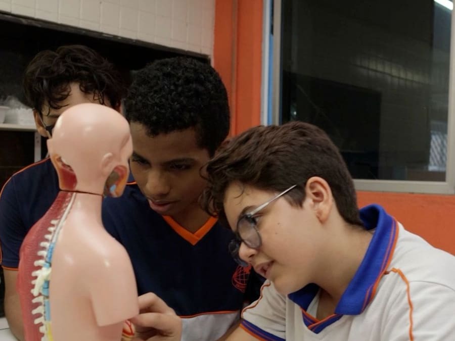 Alunos do Fundamental II estudando um modelo do corpo humano na aula de ciências